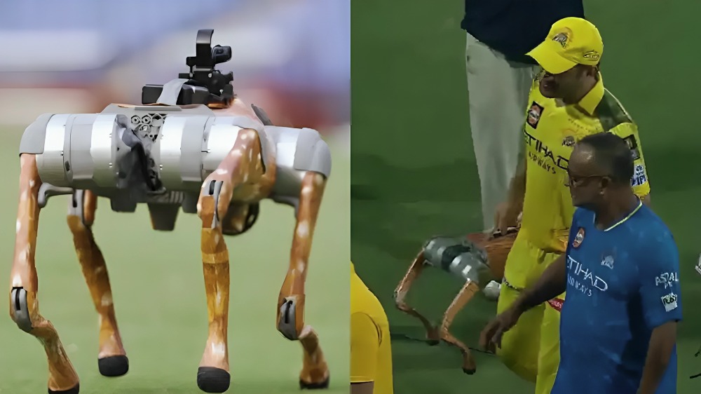 Exciting Moments Of IPL 2025